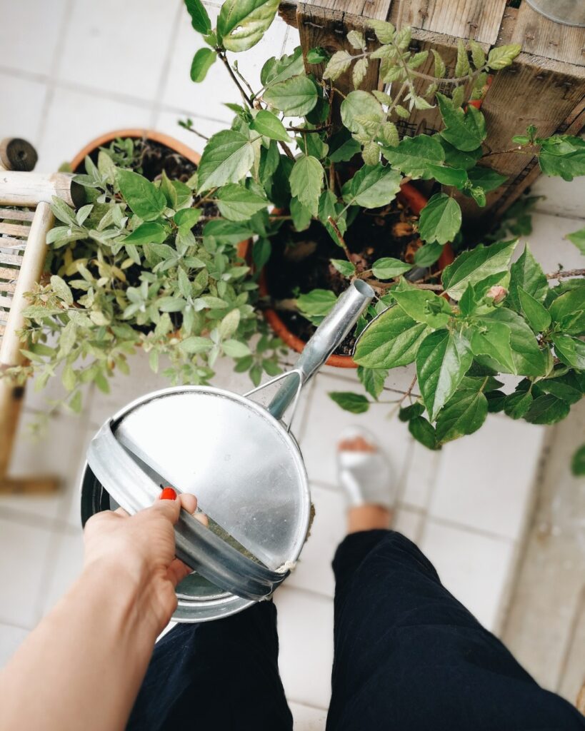 Arroser plantes