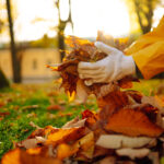 Personne portant des gants blancs et un manteau jaune ramassant des feuilles mortes dans un jardin ensoleillé à l’automne, dans le cadre d’un ménage d’automne extérieur.