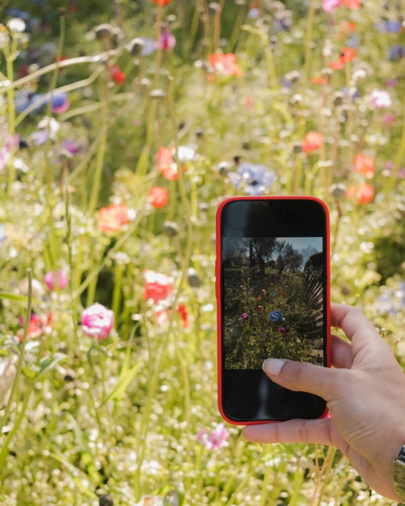 Personne prenant une photo de fleurs avec son téléphone dans un jardin ensoleillé, image illustrant l’accumulation de photos et le désencombrement digital.